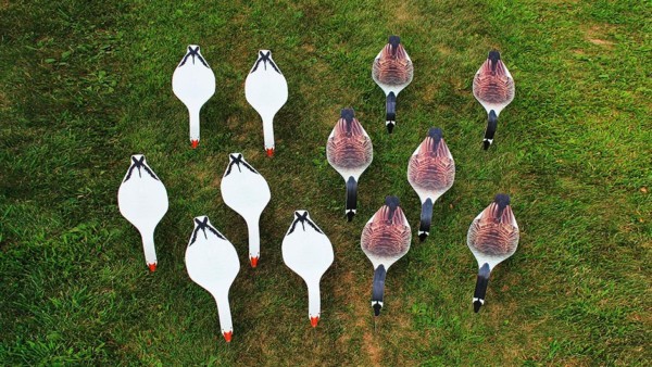 Top Down Decoys 10x28 4mm Coroplast 300x169 2x