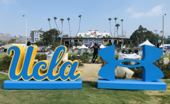 Giant Foam Letters | 3D Logo Sign