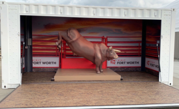 Fort Worth Bull Box Pop Container