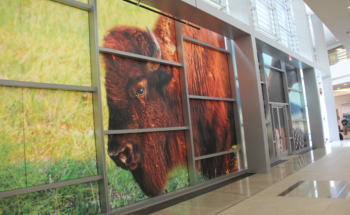 LED Backlit Display at Texas Parks & Wildlife