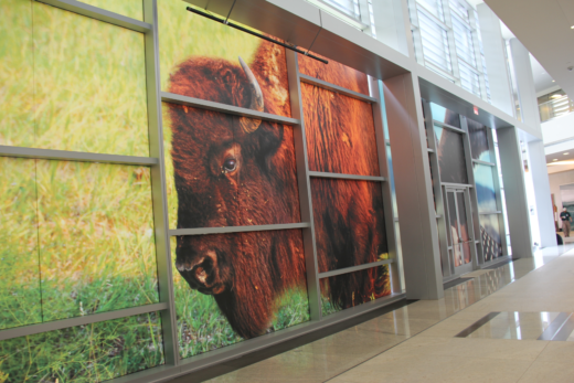 LED Backlit Display at Texas Parks & Wildlife