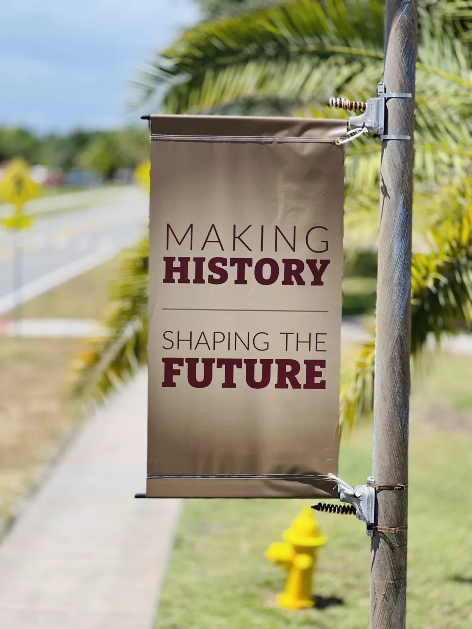 University Light Pole Banners | Custom Pole Banners