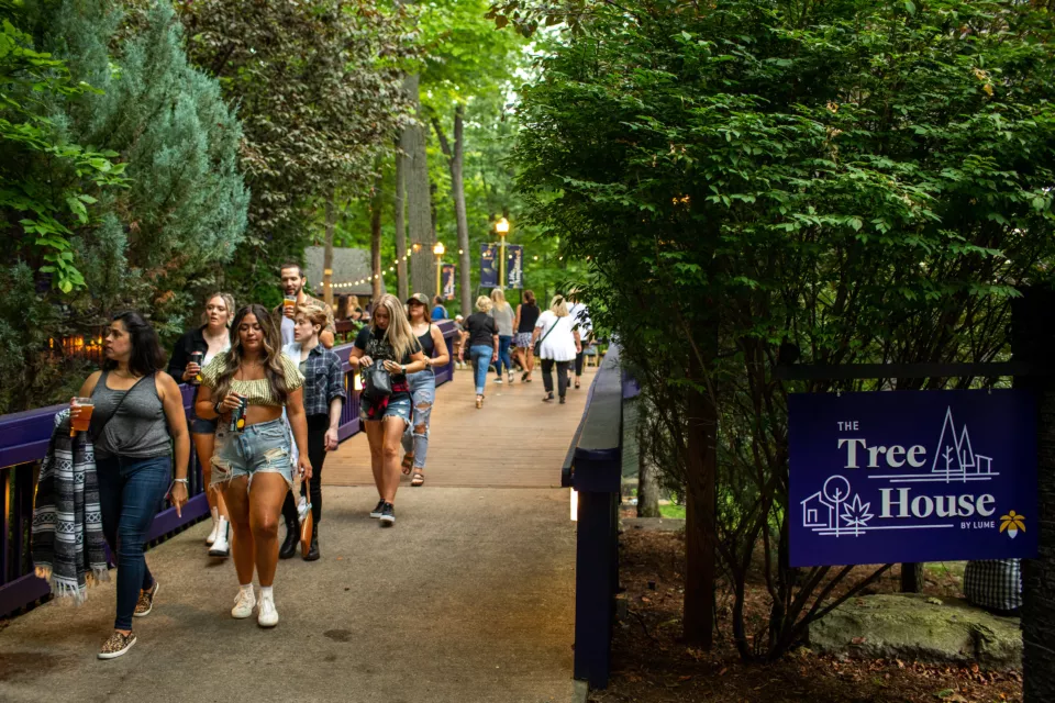 Lume Treehouse Forest Walkway | Event Activation
