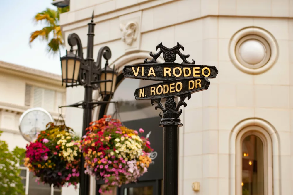 Springtime City Decoration | Intricate Street Signs