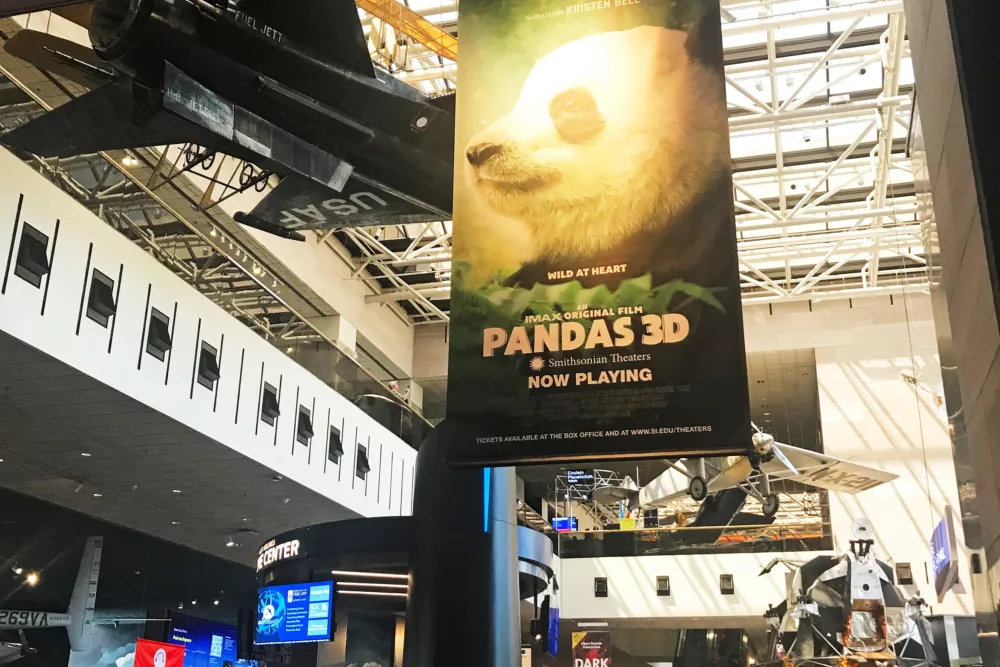 Museum Advertisement Hanging Banner | Automatic Drop Down Banner