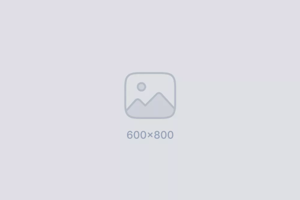 Placeholder 800x600