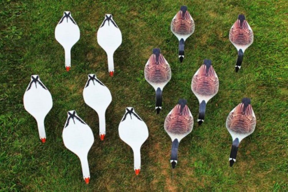 Top Down Decoys 10x28 4mm Coroplast 300x170 2x