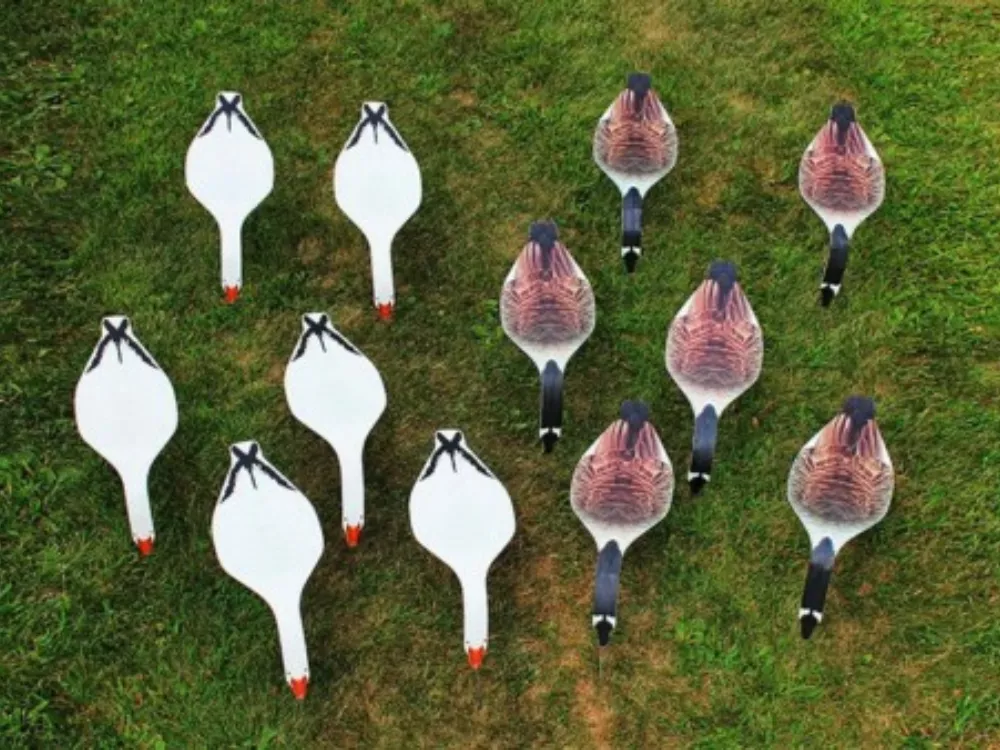 Rigid Top-Down Goose Decoys | High Quantity Printing