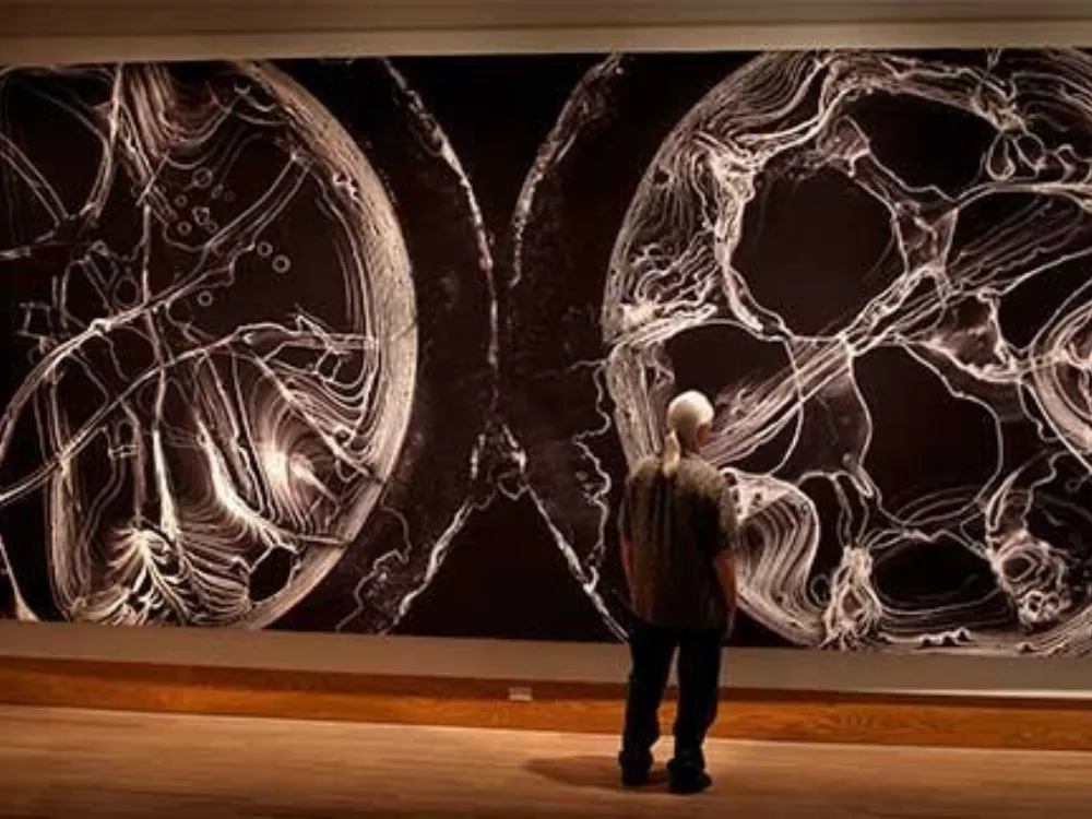 Fabric Banner Print at a Museum | Fabric Wall Display