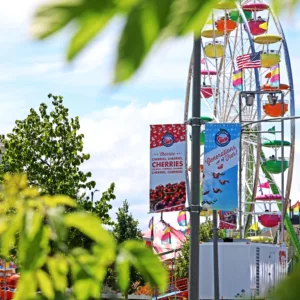 Pole Banners | Custom Banner Printing