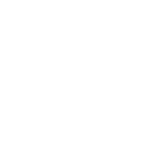 Made in the USA logo