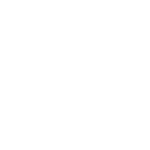 Veteran Owned Small Business logo