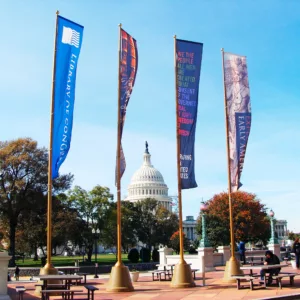 Roto Flags Library of Congress 2 Brighter