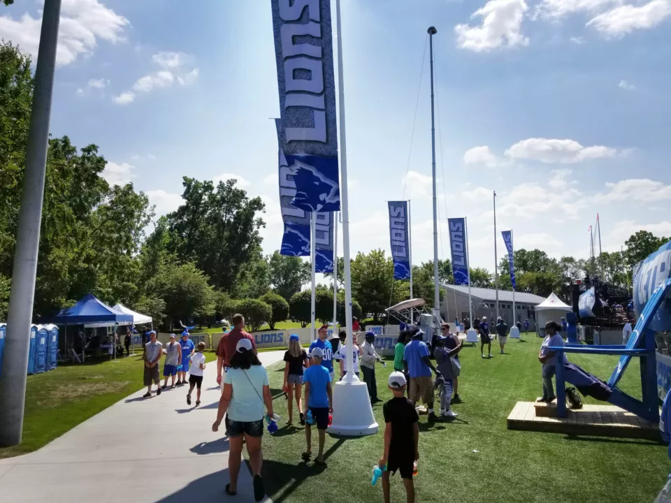 Lions Rototop flags